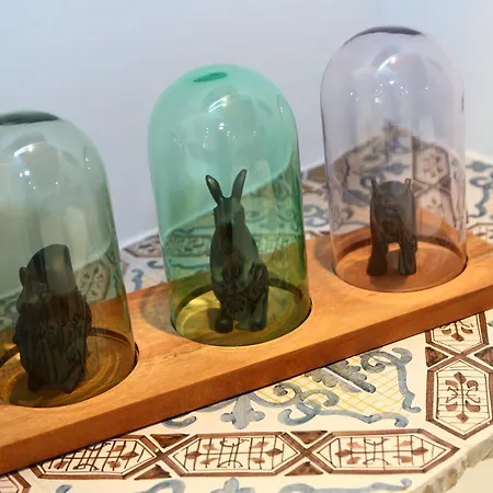 Apartment Diffuso *